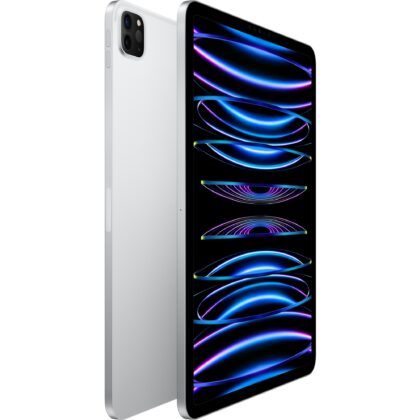 Apple iPad Pro 11` (512 GB)