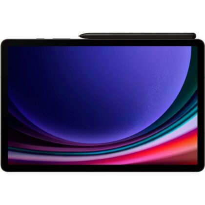 Samsung Galaxy Tab S9 256GB