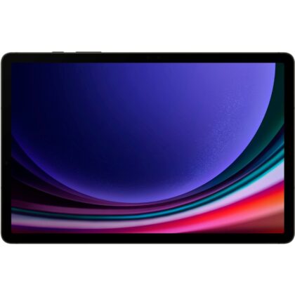 Samsung Galaxy Tab S9 256GB