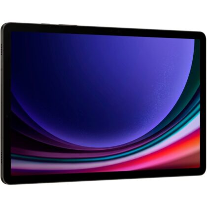 Samsung Galaxy Tab S9 256GB