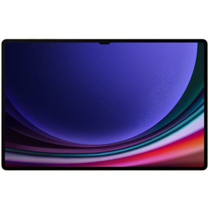 Samsung Galaxy Tab S9 Ultra 256GB