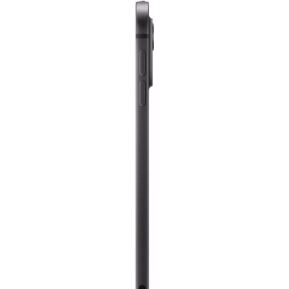 Apple iPad Pro 11`   (1 TB)