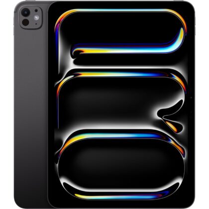 Apple iPad Pro 11`   (1 TB)
