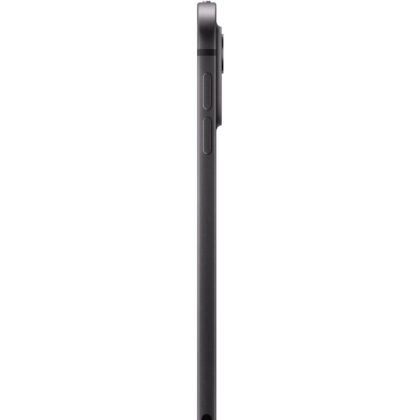 Apple iPad Pro 11` (1 TB)
