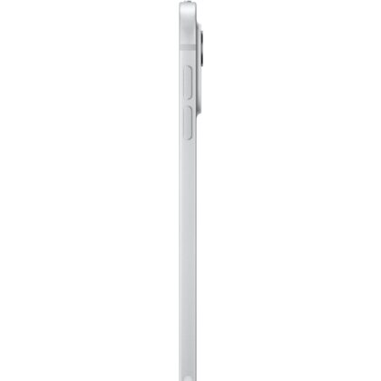 Apple iPad Pro 11` (1 TB)
