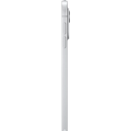 Apple iPad Pro 11` (2 TB)