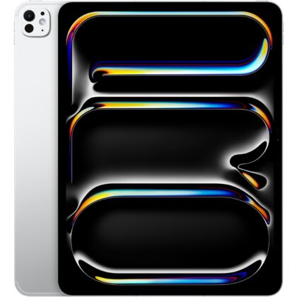 Apple iPad Pro 13` (1 TB)