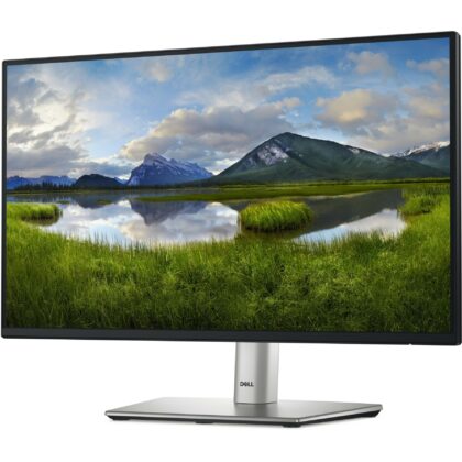 Dell P2225H