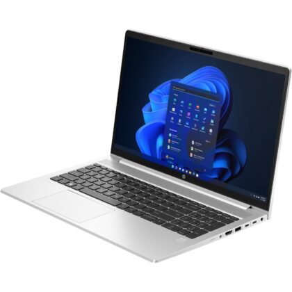 HP ProBook 450 G10 (9V1L7AT)