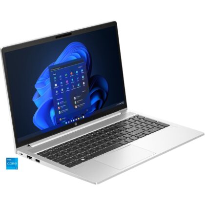 HP ProBook 450 G10 (9V1L7AT)