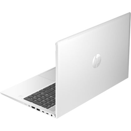 HP ProBook 450 G10 (9V1L7AT)
