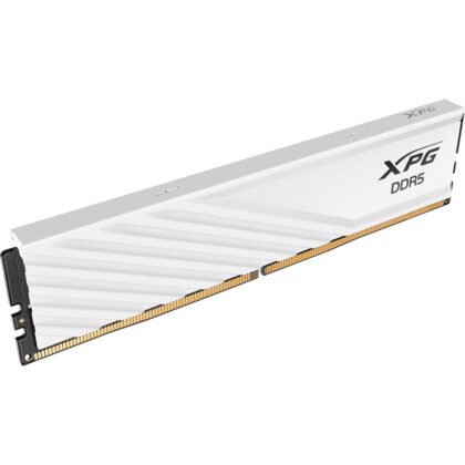 ADATA DIMM 32 GB DDR5-5600 (1x 32 GB)