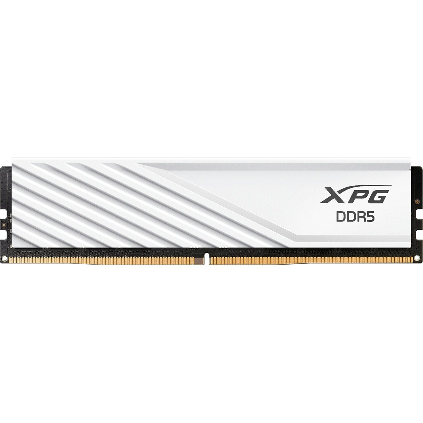 ADATA DIMM 32 GB DDR5-5600 (1x 32 GB)
