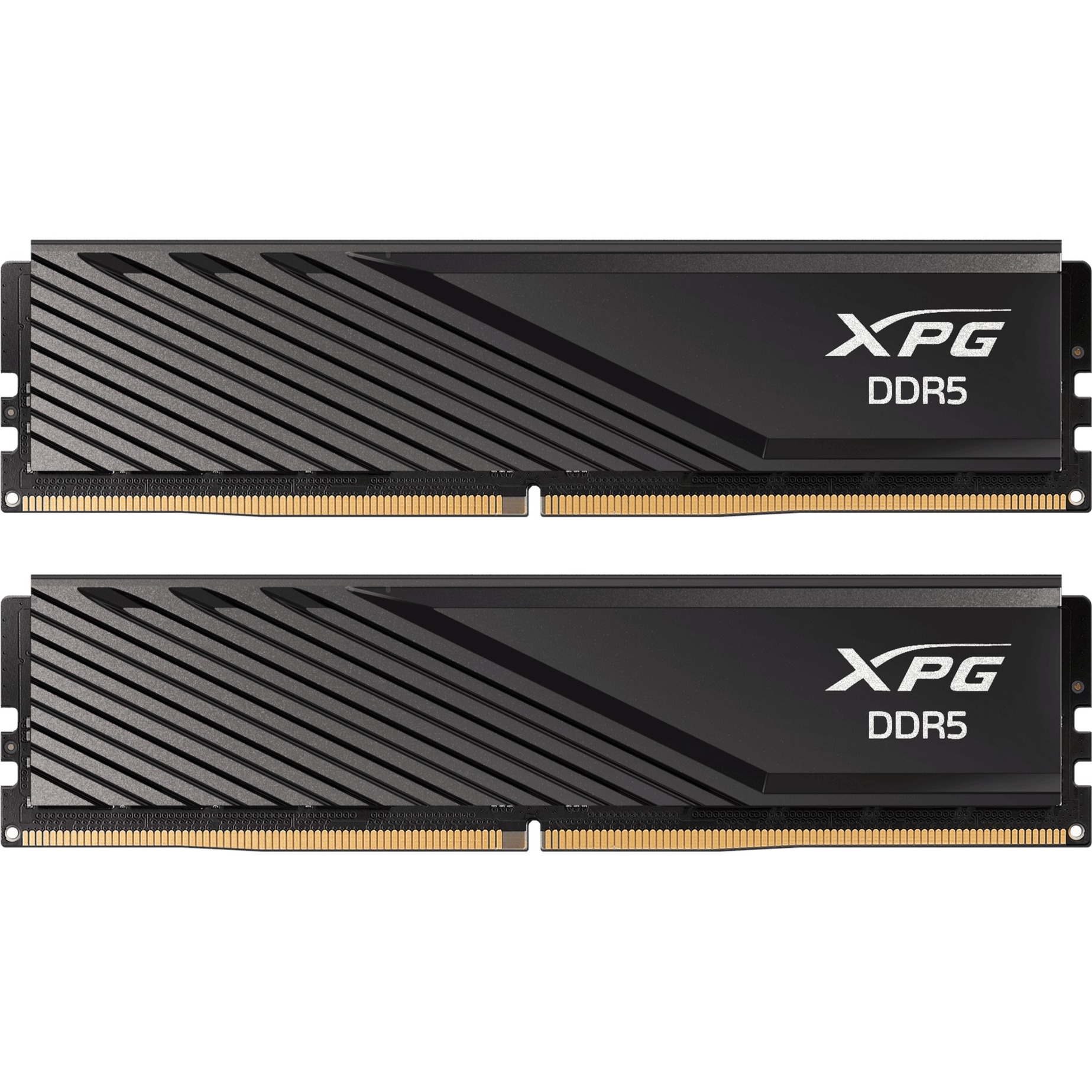 ADATA DIMM 32 GB DDR5-6000 (2x 16 GB) Dual-Kit