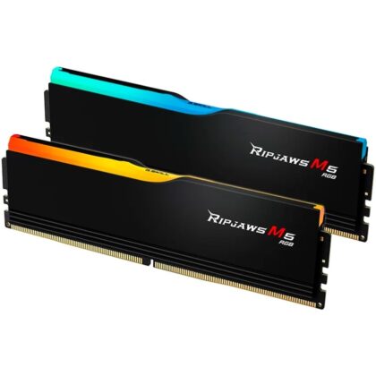 G.Skill DIMM 64 GB DDR5-5200 (2x 32 GB) Dual-Kit