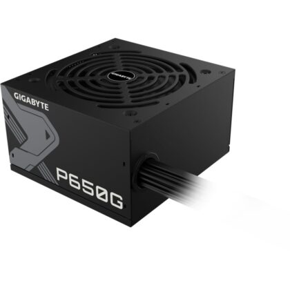Gigabyte GP-P650G