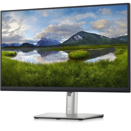 Dell P2423DE