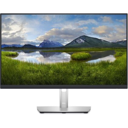 Dell P2423DE