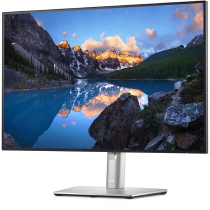 Dell U2421E