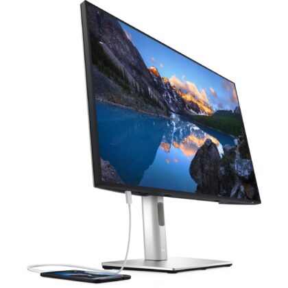 Dell U2421E