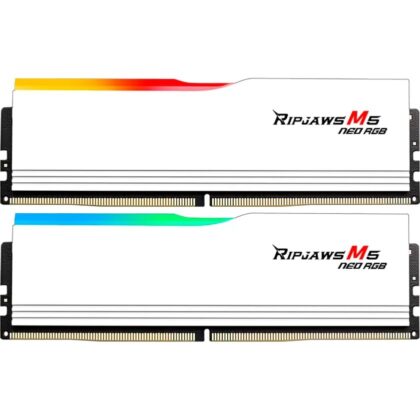 G.Skill DIMM 64 GB DDR5-6000 (2x 32 GB) Dual-Kit