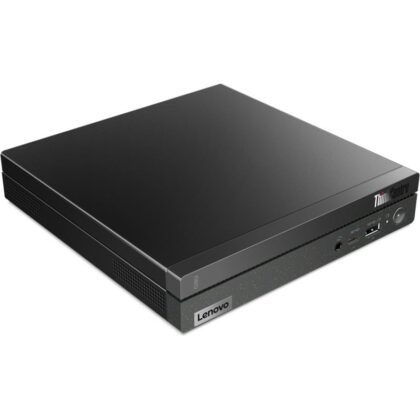 Lenovo ThinkCentre neo 50q Gen 4 Thin Client (12M50002GE)