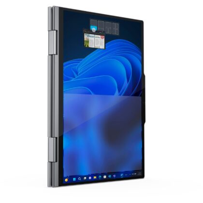 Lenovo ThinkPad X1 2-in-1 G9 (21KE006HGE)