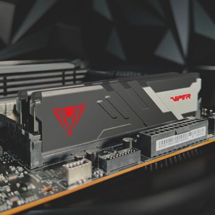 Patriot DIMM 32 GB DDR5-6000 (2x 16 GB) Dual-Kit