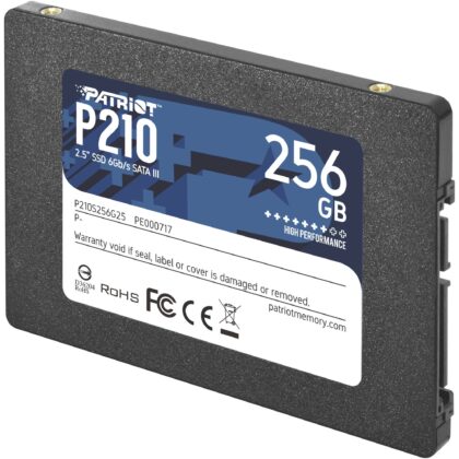 Patriot P210 256 GB