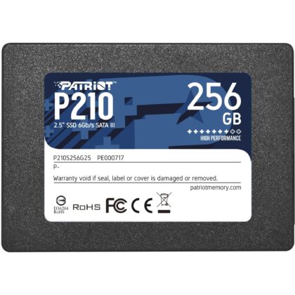 Patriot P210 256 GB