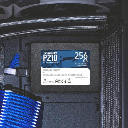 Patriot P210 256 GB