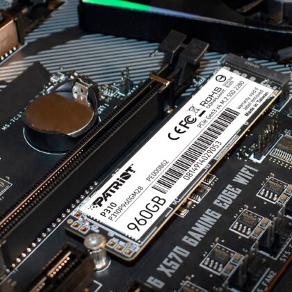 Patriot P310 960 GB