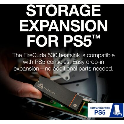 Seagate FireCuda 530 500 GB mit Kühlkörper