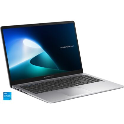Asus ExpertBook P1 (P1503CVA-S70723)