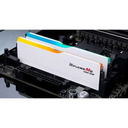 G.Skill DIMM 32 GB DDR5-6000 (2x 16 GB) Dual-Kit