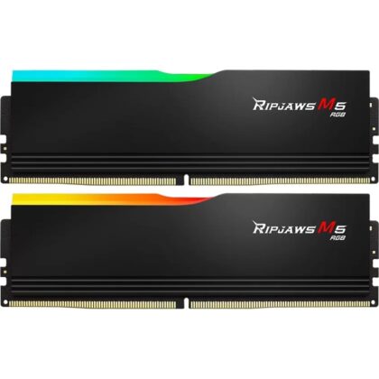 G.Skill DIMM 96 GB DDR5-6000 (2x 48 GB) Dual-Kit