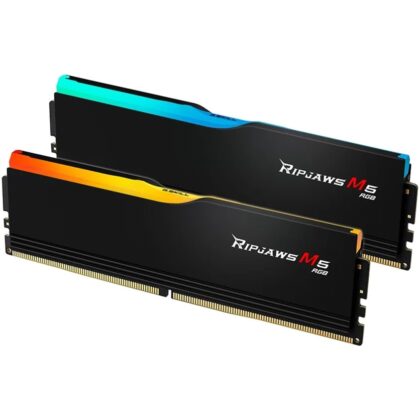 G.Skill DIMM 96 GB DDR5-6000 (2x 48 GB) Dual-Kit