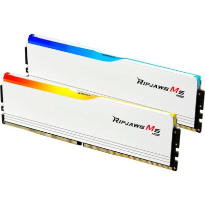 G.Skill DIMM 96 GB DDR5-5200 (2x 48 GB) Dual-Kit