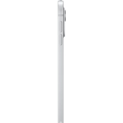 Apple iPad Pro 11` (1 TB)