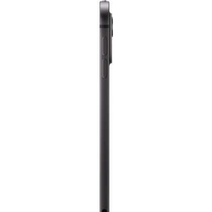 Apple iPad Pro 11` (256 GB)
