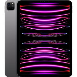 Apple APPLE iPad Pro 11 WiFi 4.Gen    512GB gr