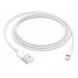Apple Adapterkabel Lightning auf USB