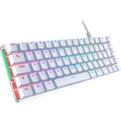 Asus ROG Falchion Ace kaufen | Angebote bionka.de