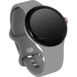 Google Pixel Watch kaufen | Angebote bionka.de