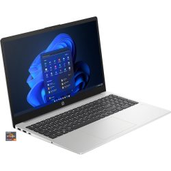 HP 255 G10 (9Y6V4AT)