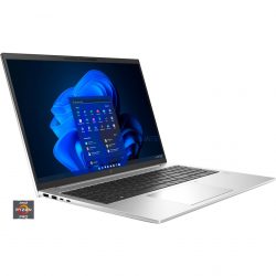 HP EliteBook 865 G9 (6F6H5EA)